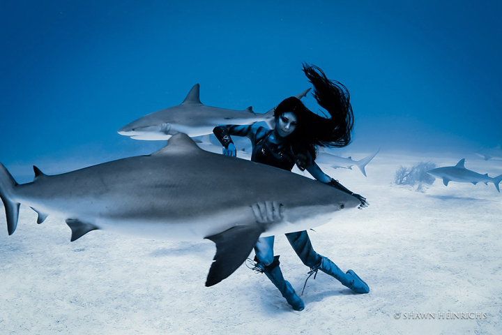 Model Hannah Fraser holds her breath as she moves with the tiger sharks below the surface.