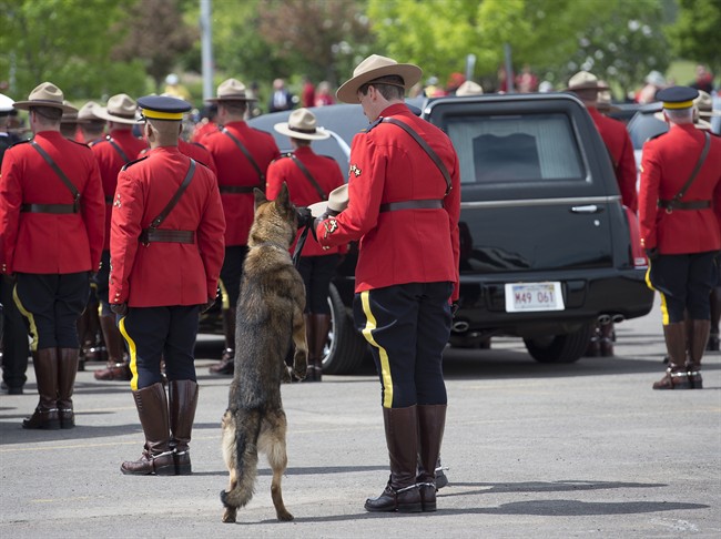 Danny, the RCMP police dog, will continue service following the death of Const. Dave Ross