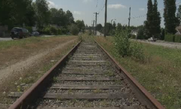 CP won’t immediately dismantle community gardens along Arbutus corridor - image