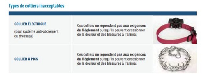 Animal collars considered unacceptable by the Quebec government.