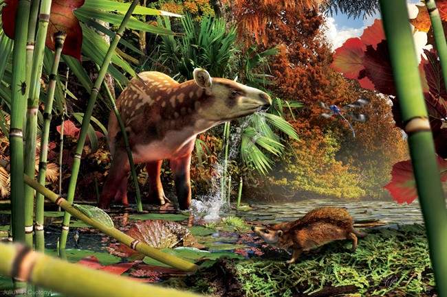 In this illustration, the tapiroid Heptodon drinks in the shallows, while the small proto-hedgehog Silvacola acares stalks a green lacewing in the foreground.