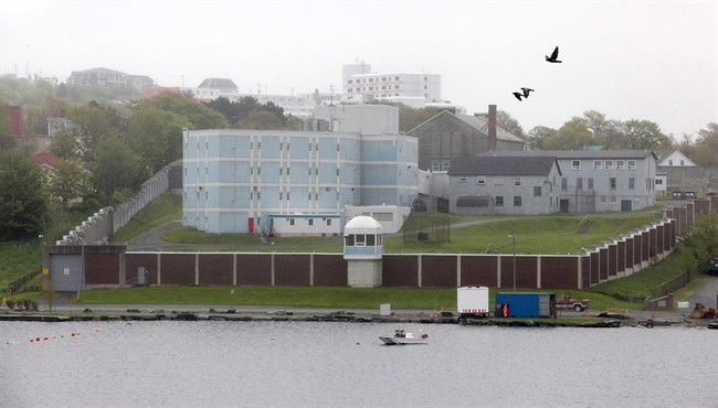 Families launch claims against N.L. government over deaths in custody - image