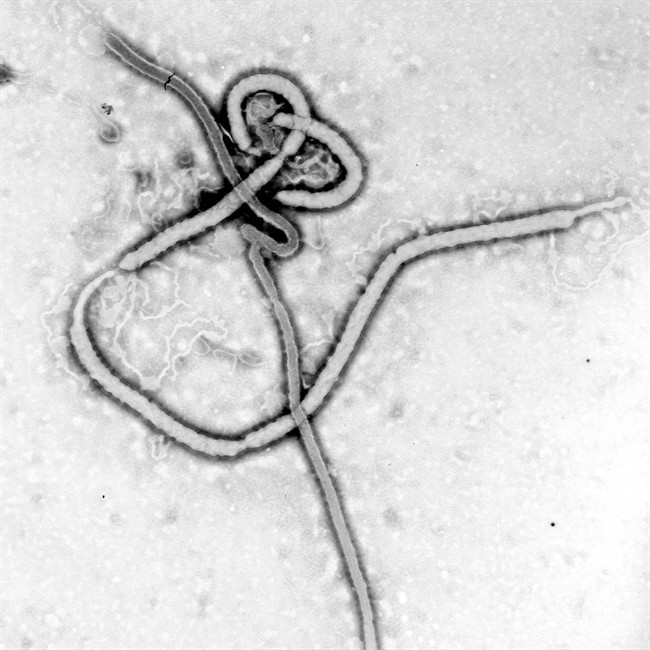 Ebola