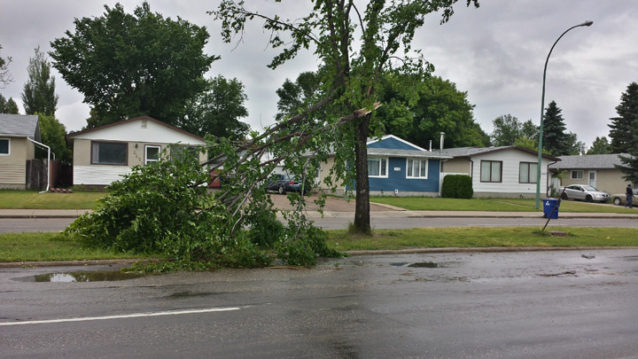 3600-block Diefenbaker Drive in Saskatoon