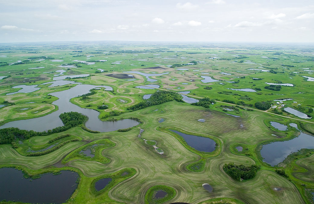 The Saskatchewan Alliance for Water Sustainability says the Saskatchewan Party and the NDP have barely dipped their toes into wetlands drainage policy.