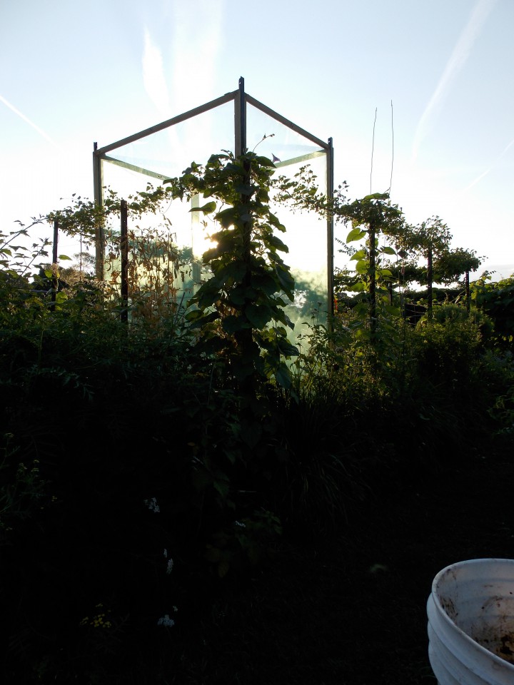 The beehive in Jardin Rencontres in NDG.