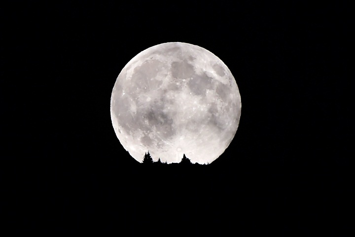 A full moon rises