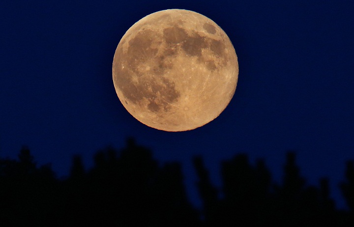 A supermoon rises through the trees on August 10, 2014 in Spencer, New York.