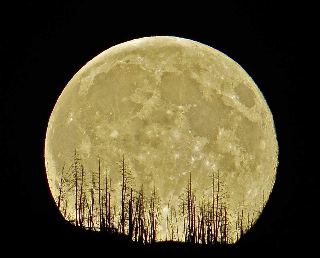 June 20 is not only the date of the full moon, but of summer solstice.