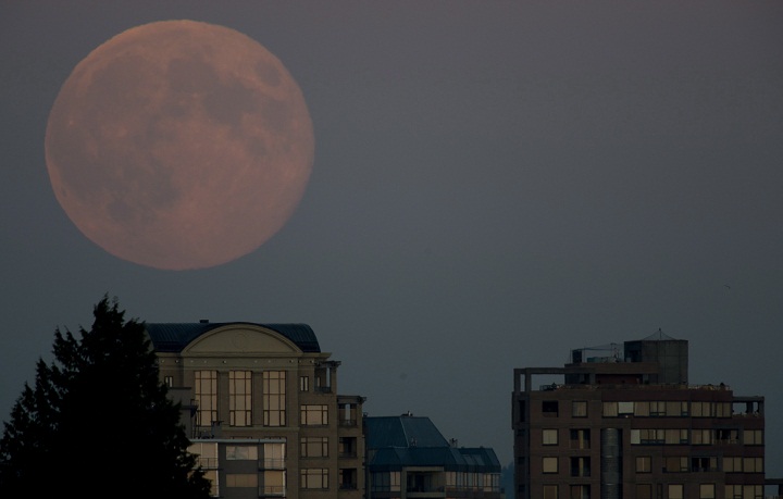 The supermoon is seen rising above apartment buildings in West Vancouver, B.C. Sunday, August, 10, 2014.