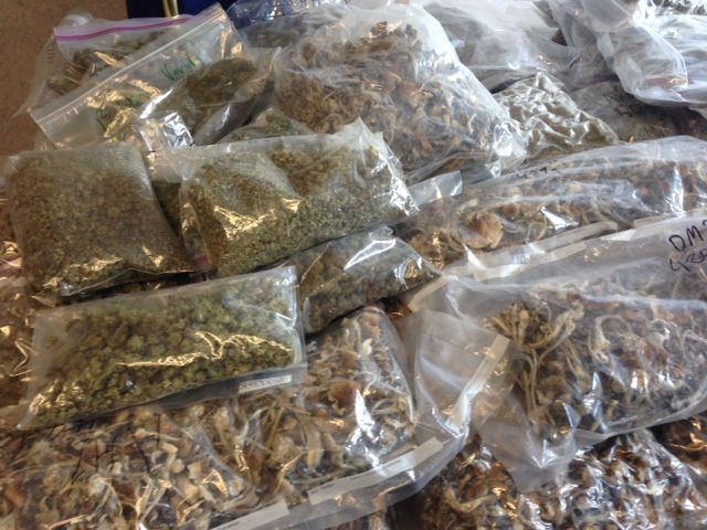 Part of EPS’ seizure, displayed September 17, 2014