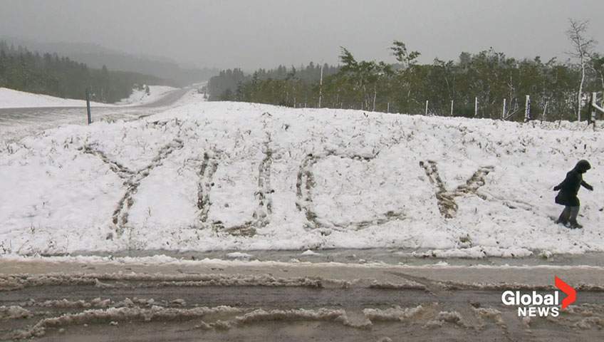 Tell us how you really feel about the snow...