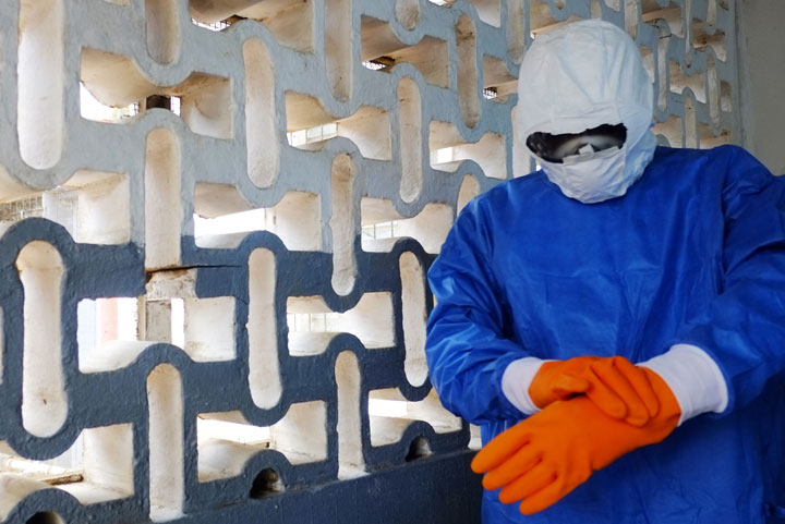 Ebola cost