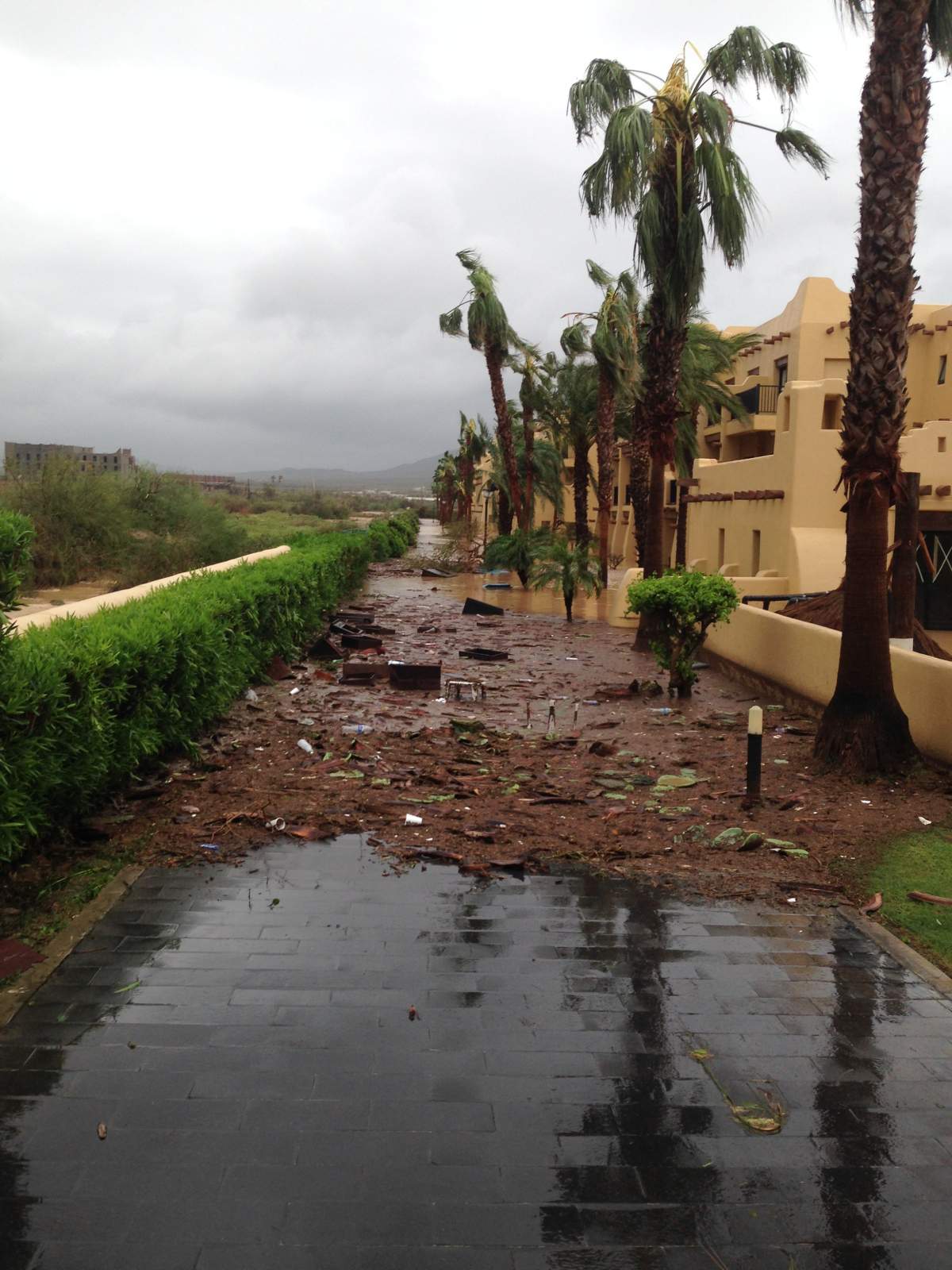 PHOTO GALLERY: Canadians in Cabo San Lucas begin returning home, share images of destruction - image