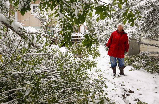 Rare September snow has Calgarians reeling
