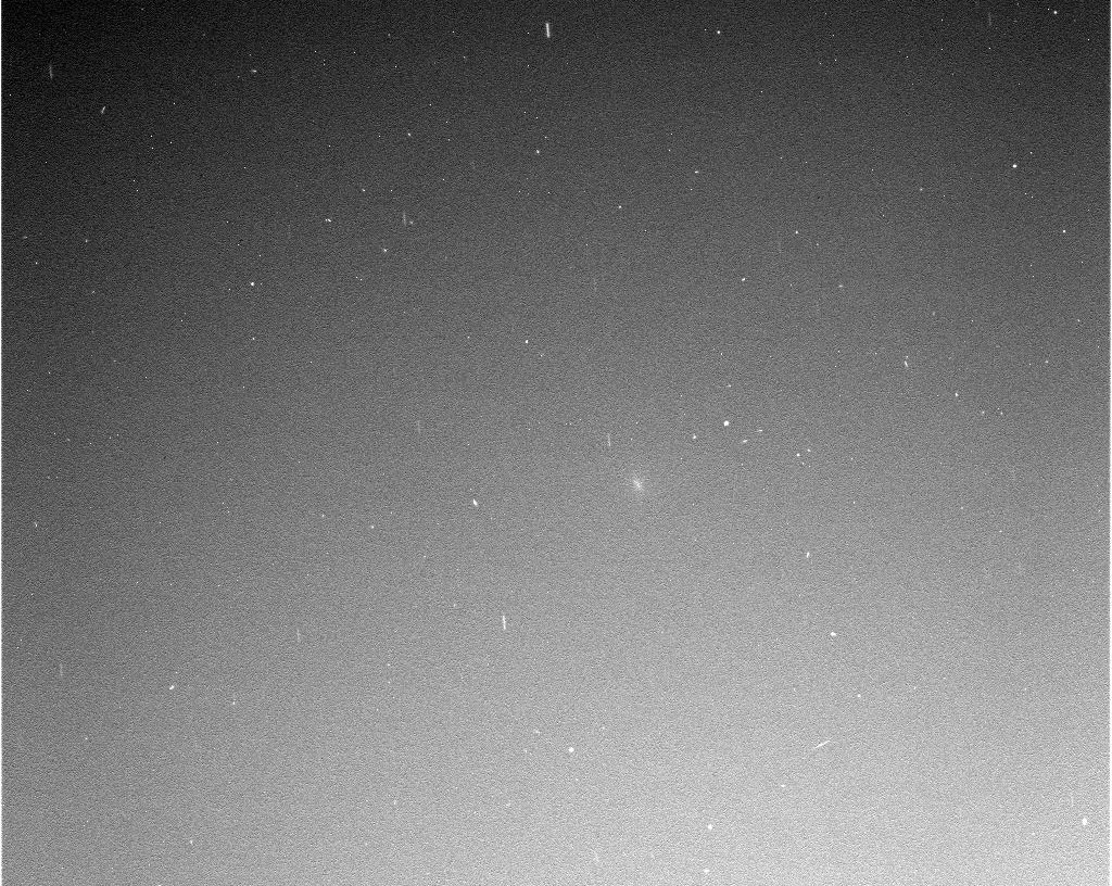 Comet Siding Spring