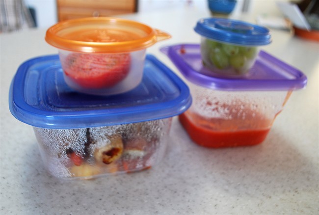 Prevent illness by storing food correctly
