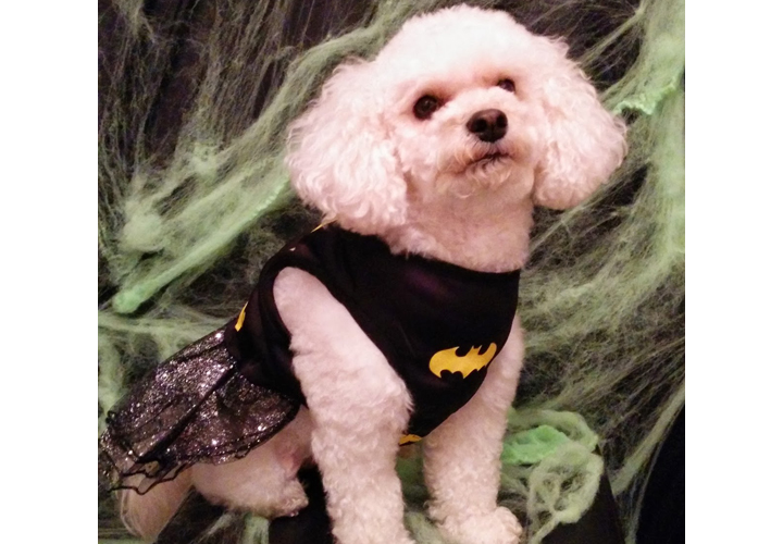 Daisy dressed up as Batgirl.