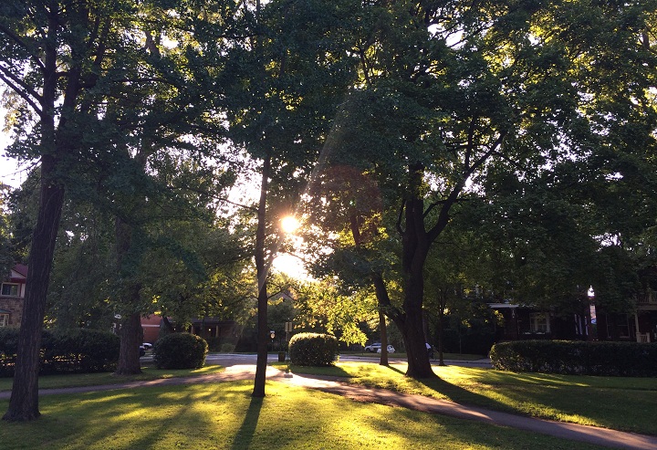 A park in Outremont, Montreal.
