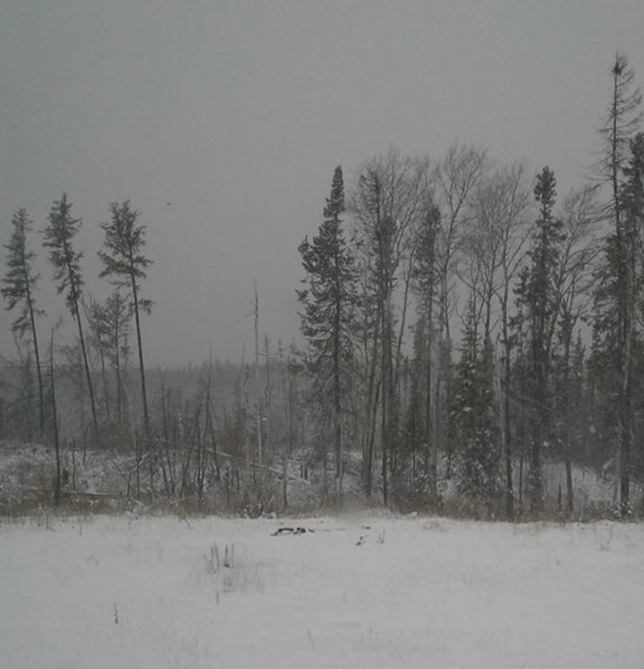 St. Theresa Point Island Lake Manitoba snow