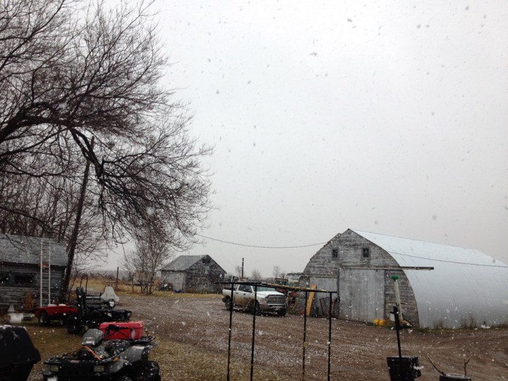 Nov. 10: This Your Saskatchewan photo was taken by Madison Berkech near Martensville.