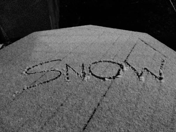 Snow accumulates on a picnic table in Burnaby Friday night.
