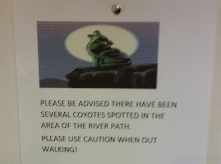 Signs warning about coyote sightings have been posted in the St. Vital area.