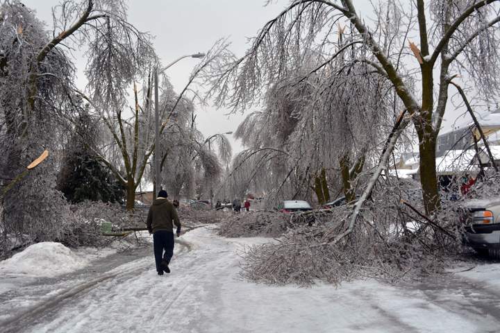 Last year’s ice storm wreaked havoc across parts of southern Ontario.