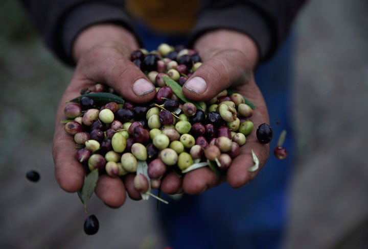 A heatwave in 2012 wiped out 80 per of the crops in Spain, sending the price of olive-oil products up by 30 per cent.