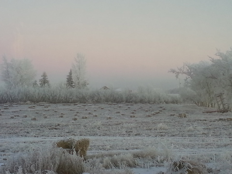 Dec. 21: This Your Saskatchewan picture was taken by Reba McNeill near Wiseton.