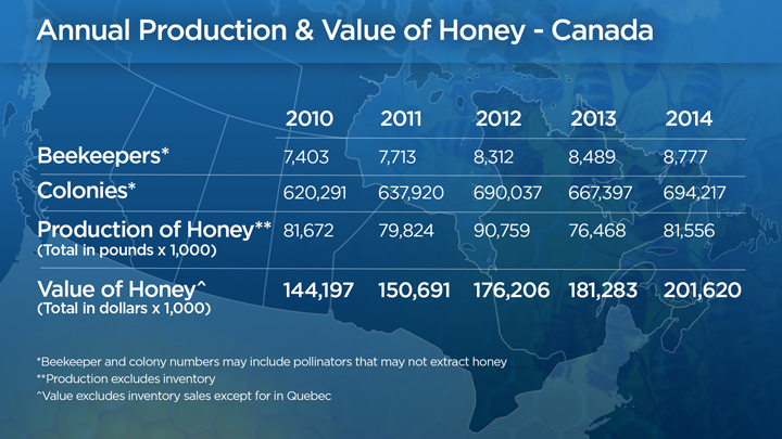 Despite pesticide concerns, beekeepers and colonies on the rise - image