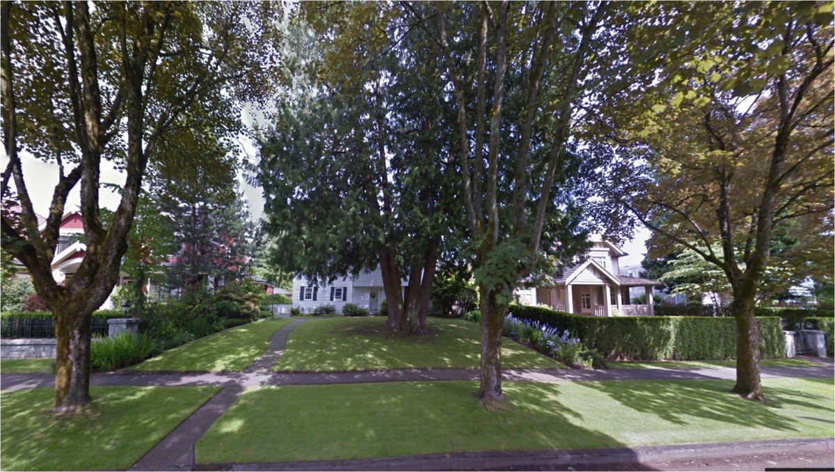 A picture of the front yard of a house on Adera Street prior to  a tree being chopped down.