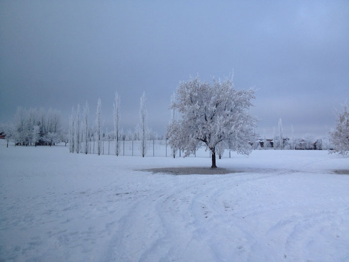 This photo of hoar frost was sent in by Matt Foobear.