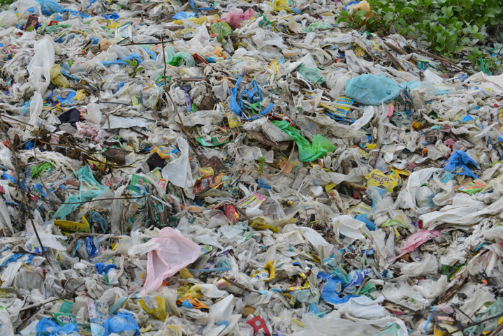 City engaging public on waste reduction strategies for London - image