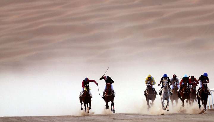 Jockeys compete in a race for purebred Arab horses during the Liwa 2014 Moreeb Dune Festival on January 2, 2014, in the Liwa desert.