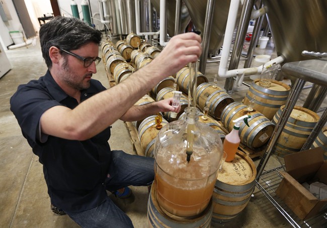 Ontario premier won’t shut door on allowing craft brewers to open stores - image