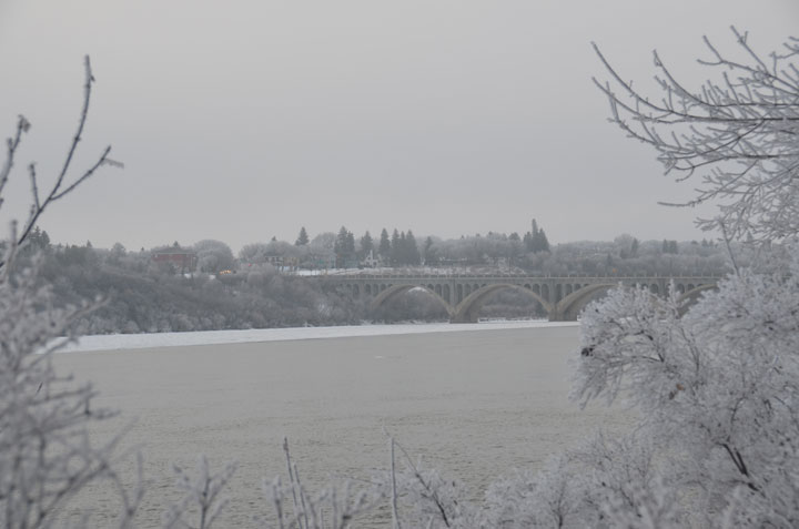 This photo of hoar frost in Saskatoon was sent in by Terry Myers.