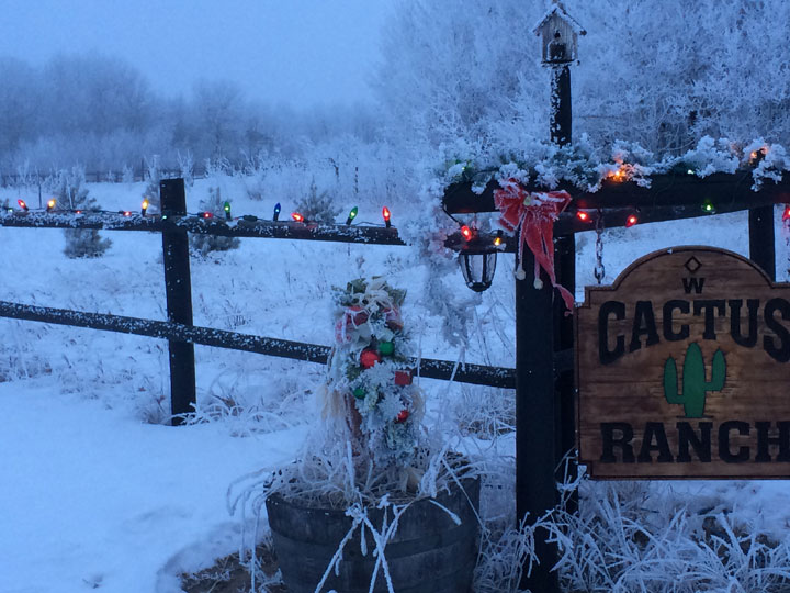 This photo was submitted by Wendy Trask in the RM of Corman Park.