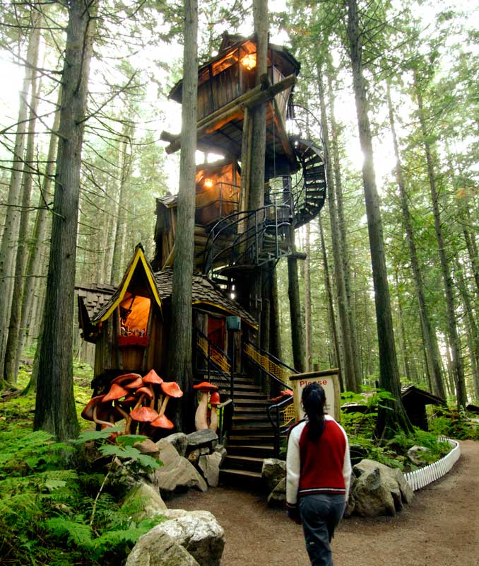 Courtesy: enchantedforestbc.com