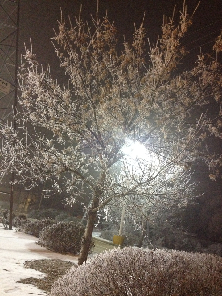 frost