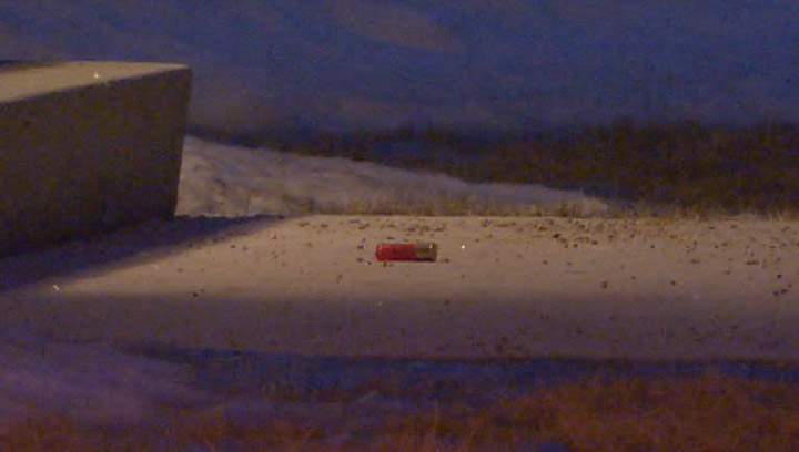 Saskatoon police are investigating a shooting that took place Monday morning in the 1000-block of Patrick Crescent.