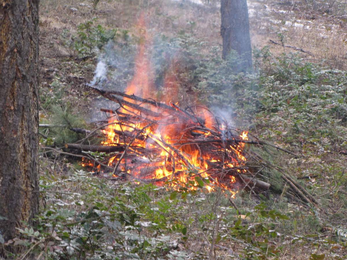 The province of B.C. has announced Category 2 and 3 open-burning bans for the Kamloops Fire Centre.