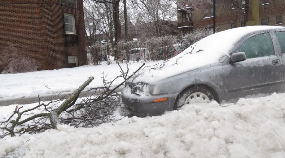 Branches down in #NDG #storm