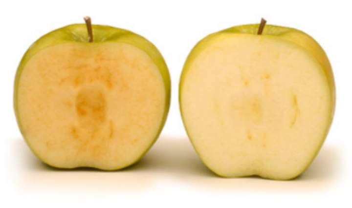 Sold! for $41-million; company behind Arctic Apple cashes in - image
