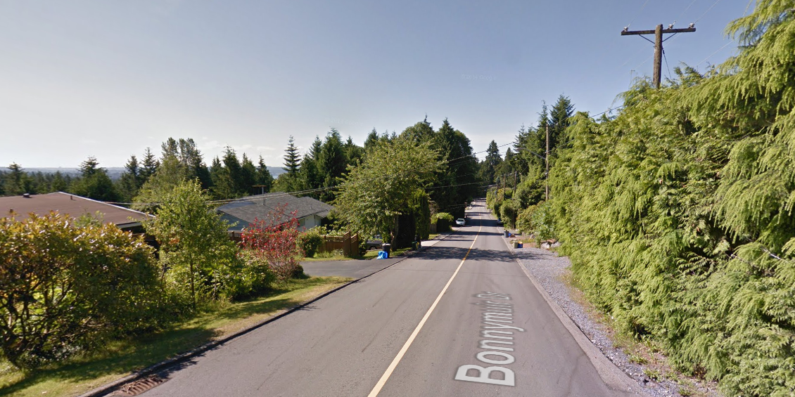 Police say they've received reports of two men appearing to force a young man into an SUV in the 100-block of Bonnymuir Drive yesterday afternoon.
