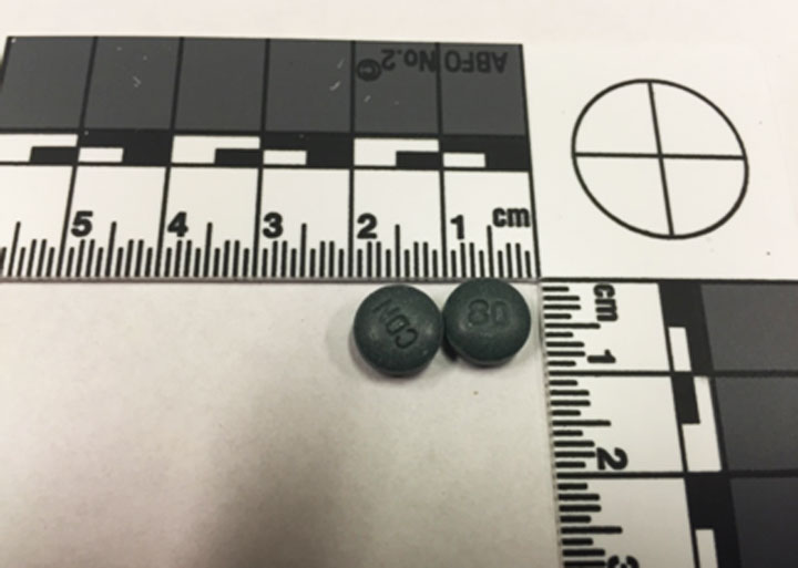 Police have charged a man with possession of fake oxycontin for the purpose of trafficking in Prince Albert, Sask.