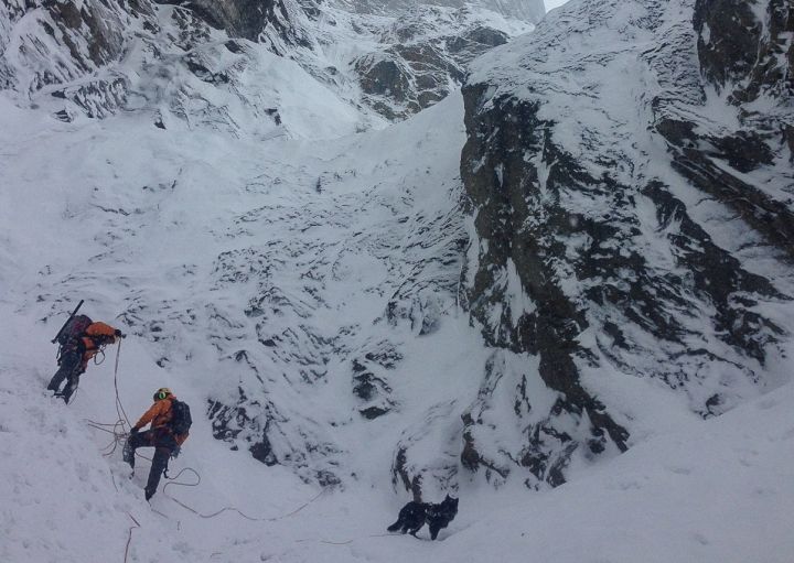 Mark Salesse search Banff