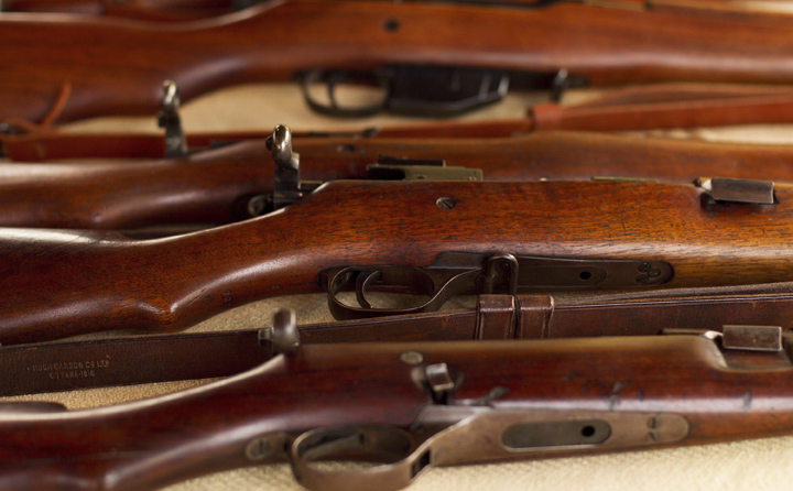 Want to work with what’s left of the long gun registry? Download it here - image