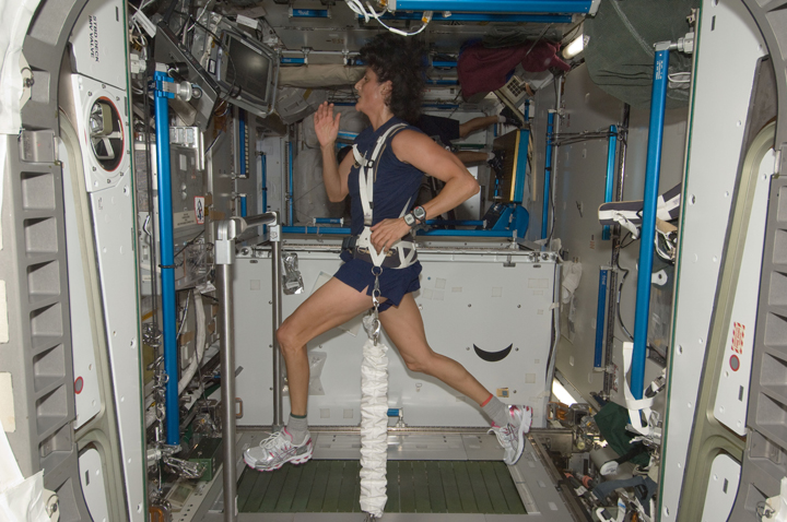 NASA astronaut Sunita Williams, Expedition 32 flight engineer, equipped with a bungee harness, exercises on the Combined Operational Load Bearing External Resistance Treadmill (COLBERT). Yes, it was named after satirist Stephen Colbert.