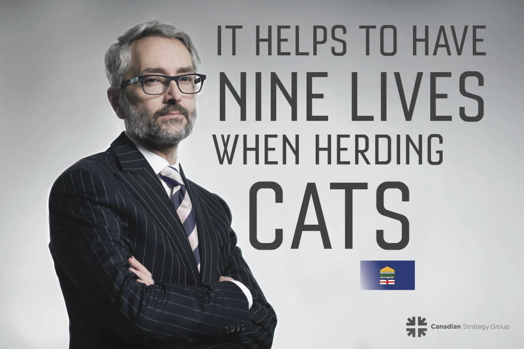 Alberta’s own House of Cards cast in playful postcard series - image